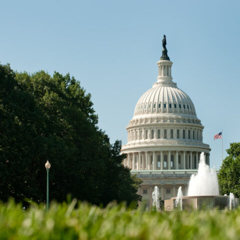 US Senate Fountain in front of the Capitol Building